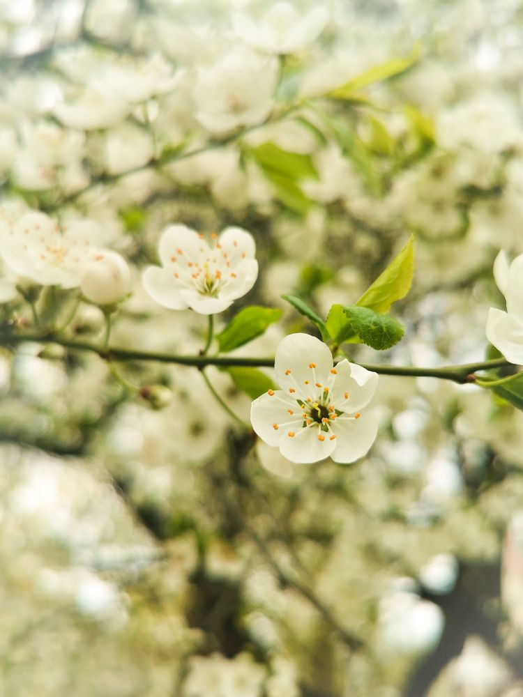 Photograph by Лиана Романчук