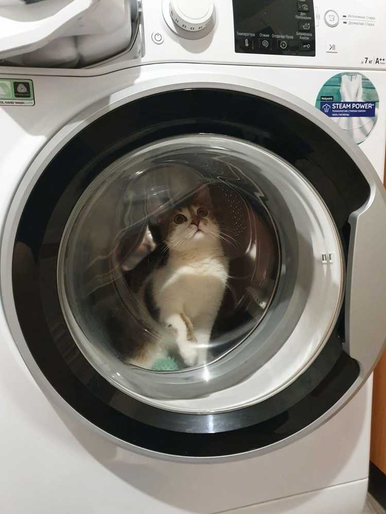 Photograph by Евгений Беляев