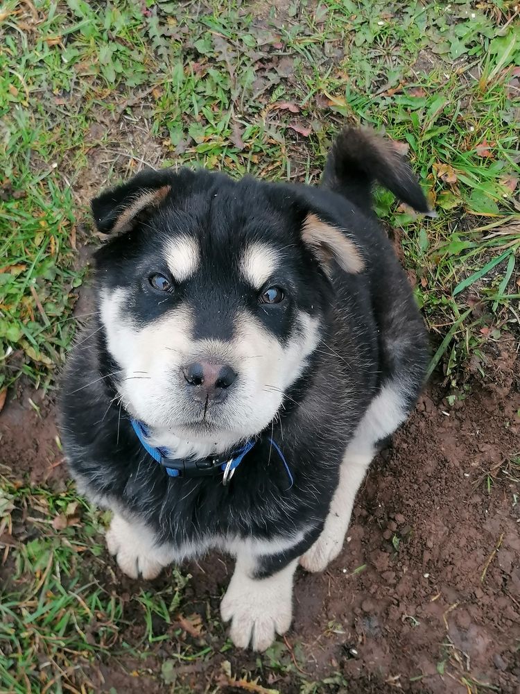 Photograph by Евгений Беляев