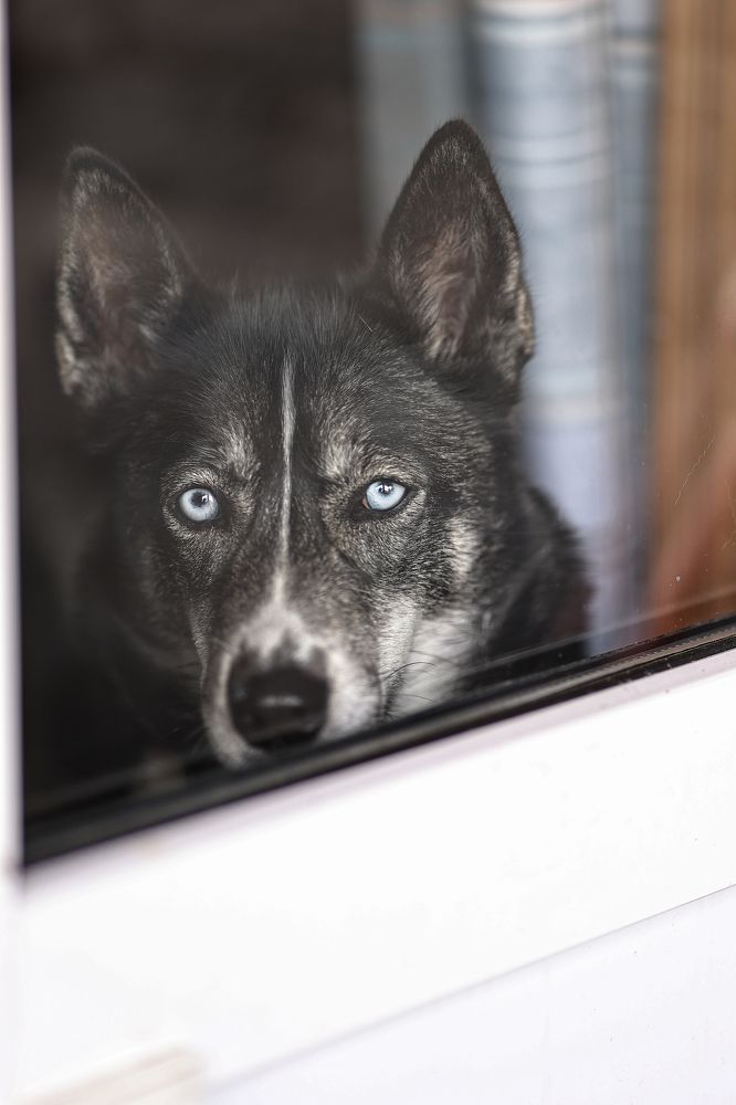 Photograph by Елена Одынец