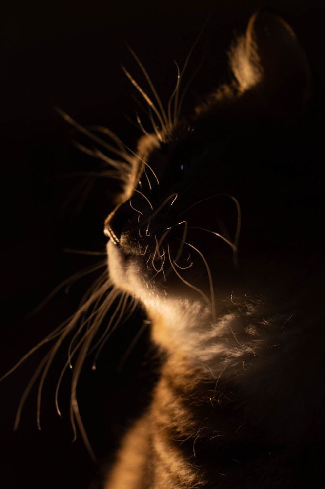 Photograph by Янина Рейфер