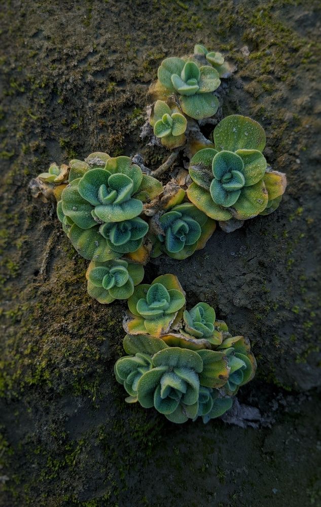 Photograph by Ishmam Ishmam