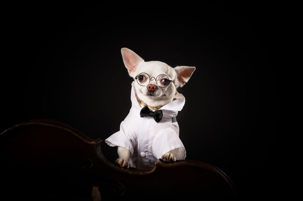 Photograph by Ирина Корх