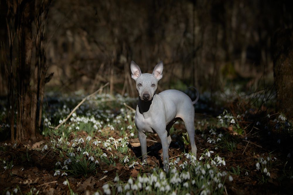 Photograph by Ирина Корх