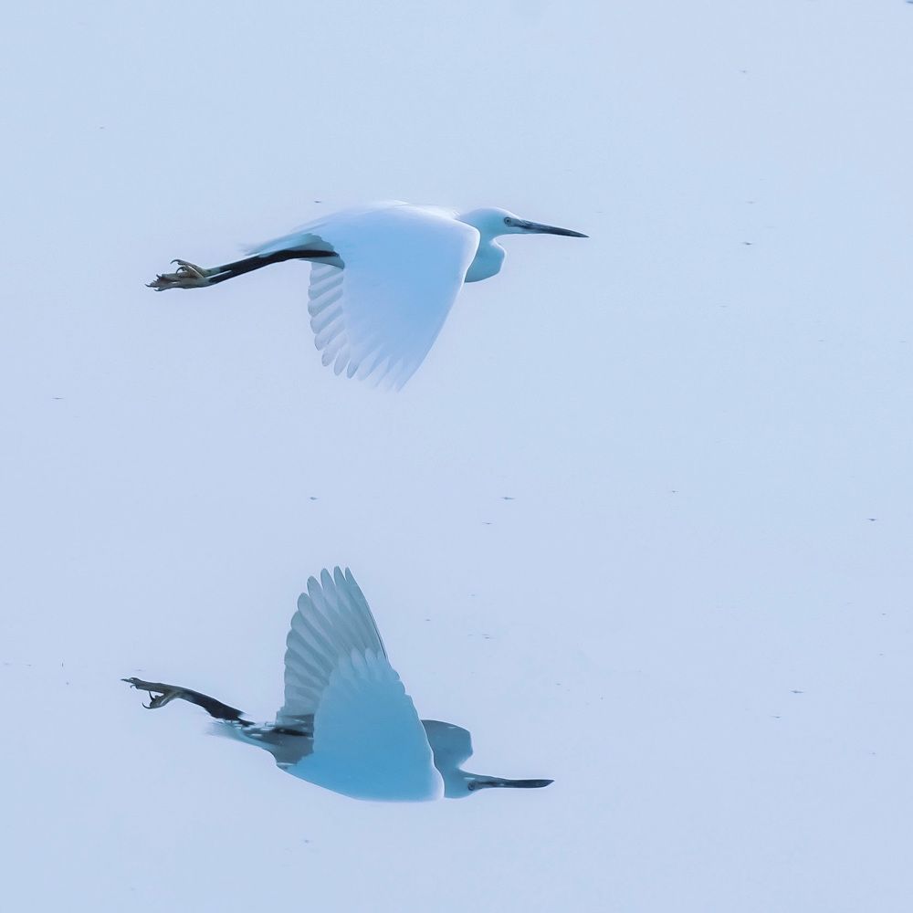 Фотография автора Jian Ma