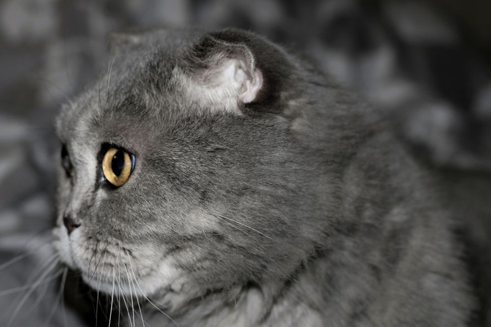 Photograph by Инна Карасева