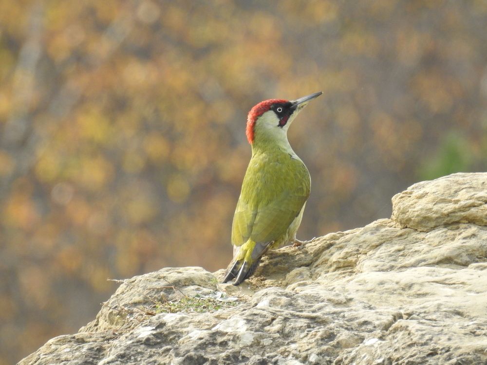 Photograph by Эдуард Седельник