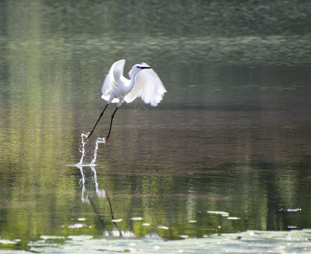 Photograph by Эдуард Седельник