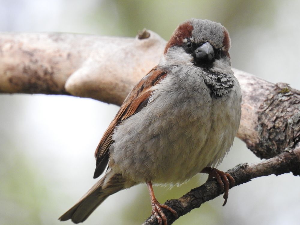 Photograph by Эдуард Седельник