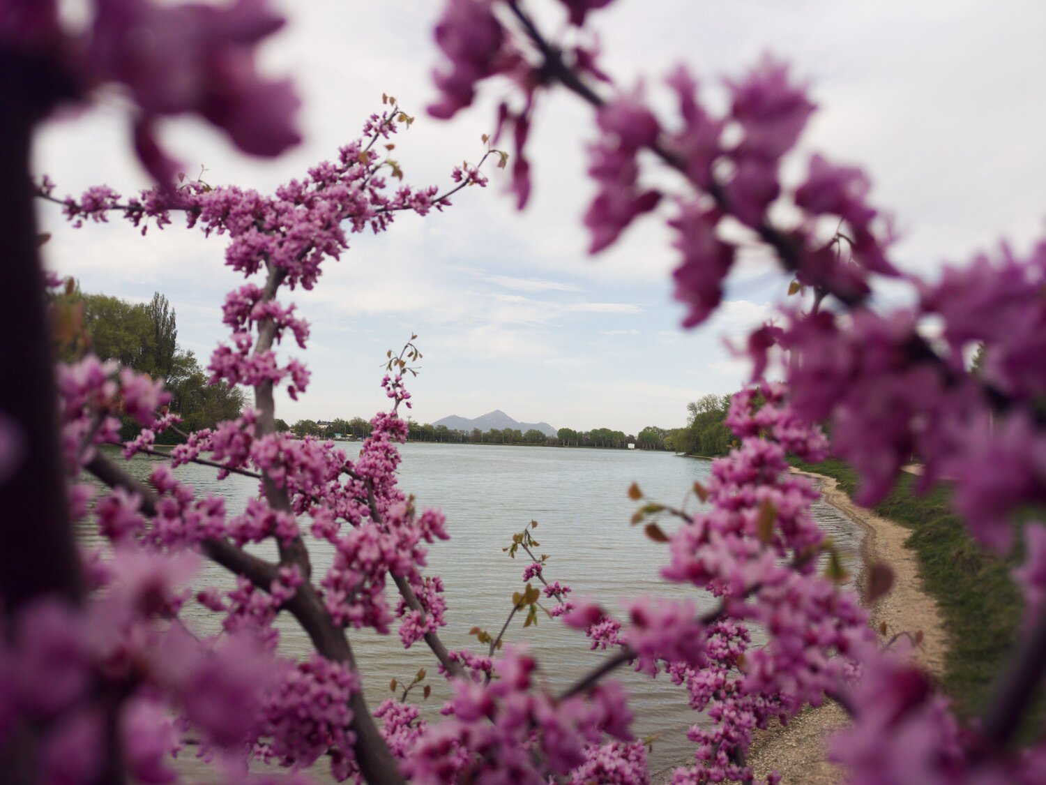 Photo #7475075