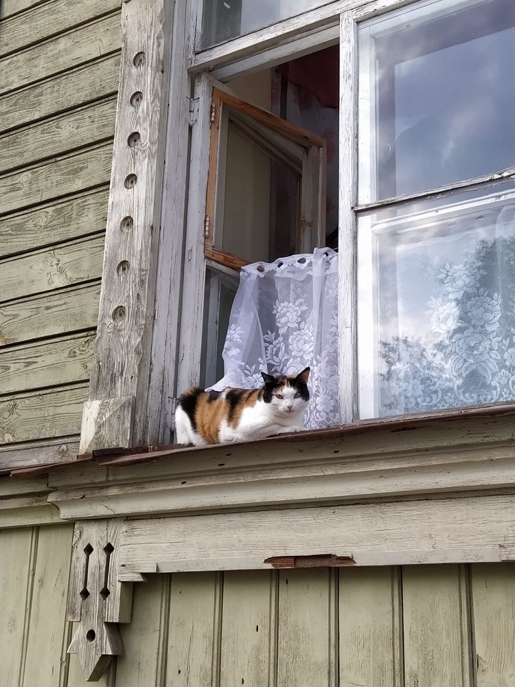 Photograph by Ольга Стоун