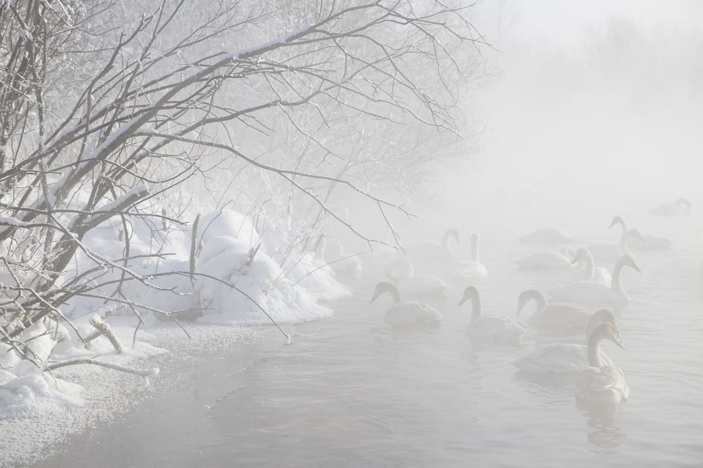 Фотография автора Andrey Pristyazhnyuk