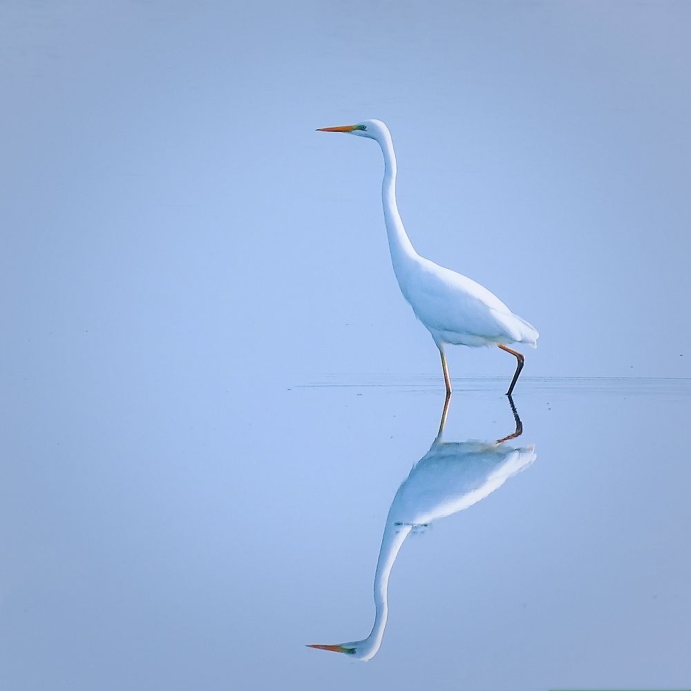 Фотография автора Jian Ma