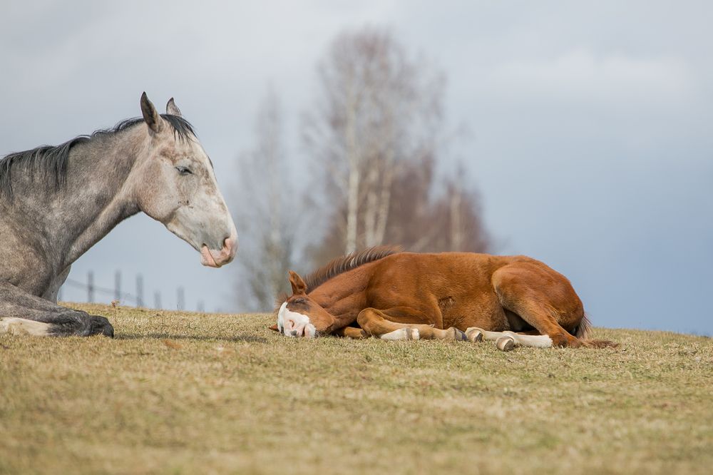 Фотография автора Yulia  Maximova