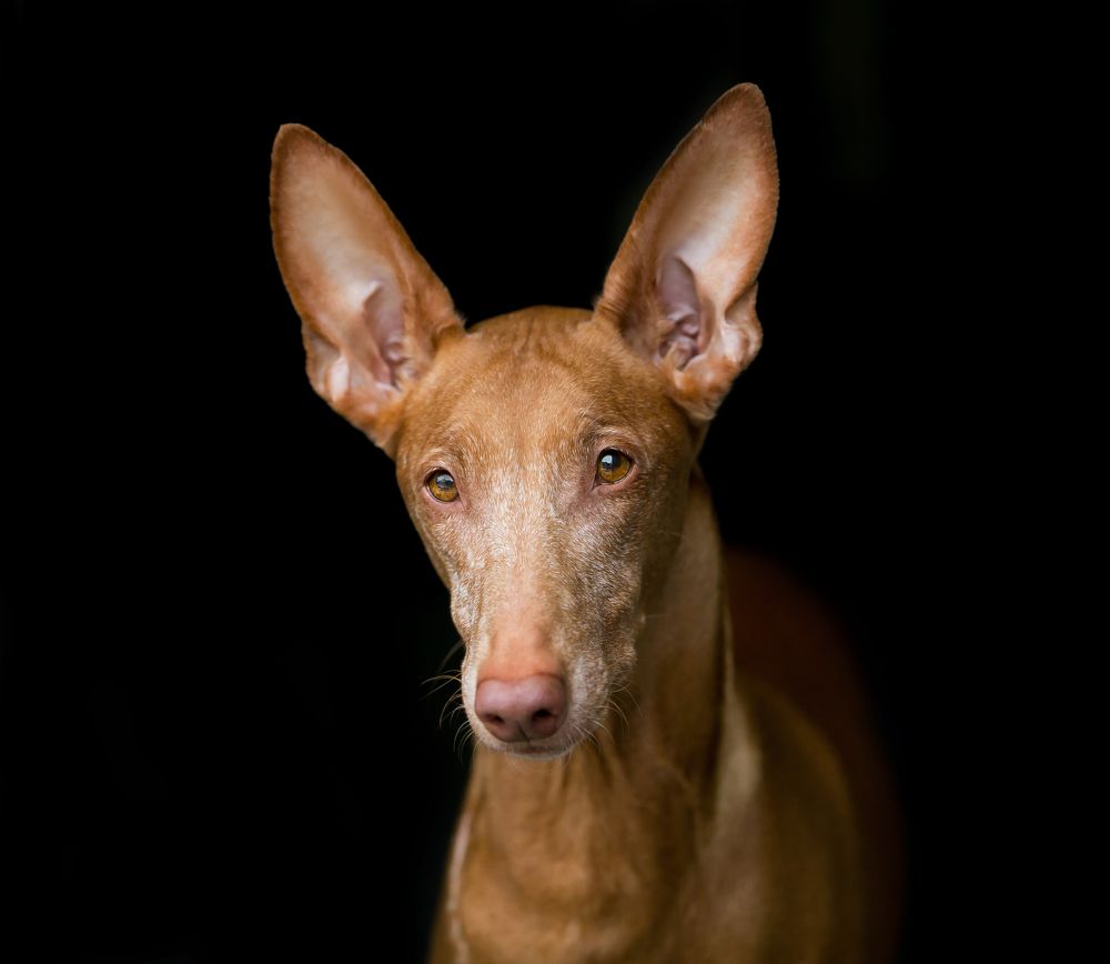 Фотография автора Yulia  Maximova