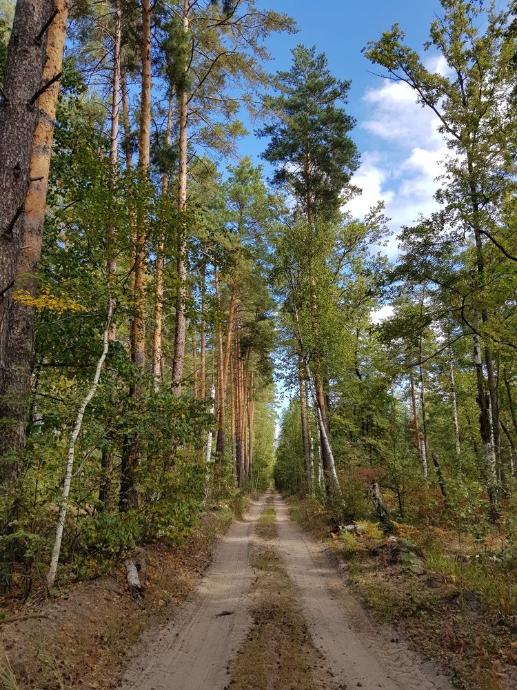 Photograph by Николай Бучнев