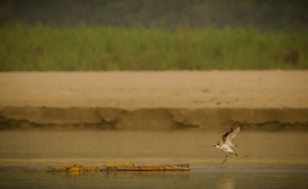 Photograph by Nishant Raj