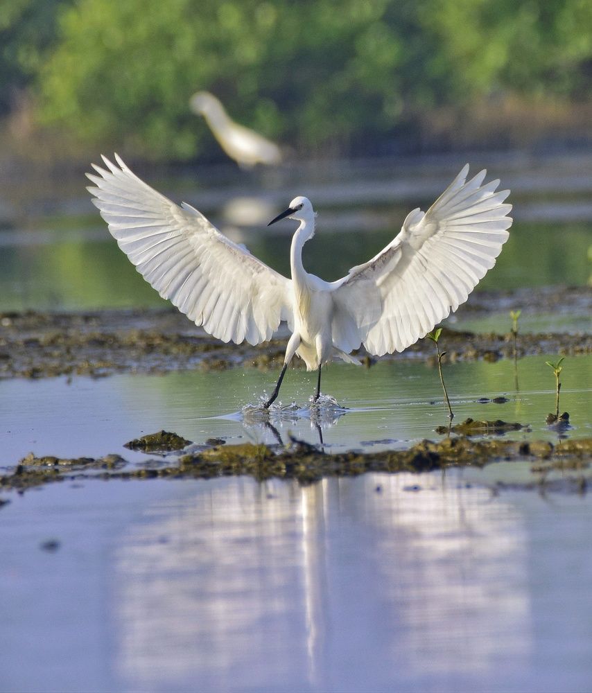 Photograph by Nishant Raj