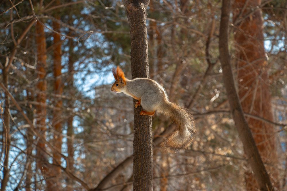 Photograph by Татьяна Ярмак