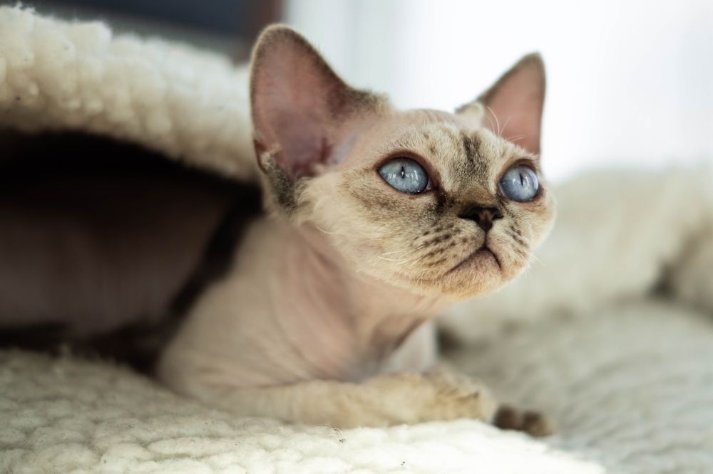 Photograph by Katya Slavich