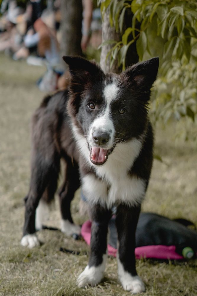 Photograph by Katya Slavich