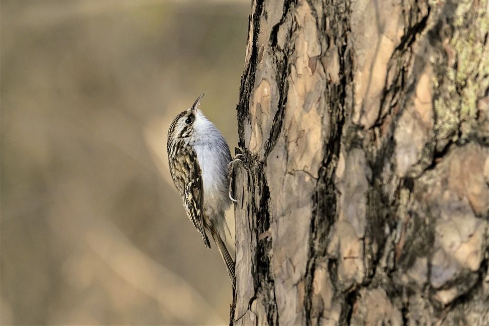 Фотография автора IRINA FILIPPOVA