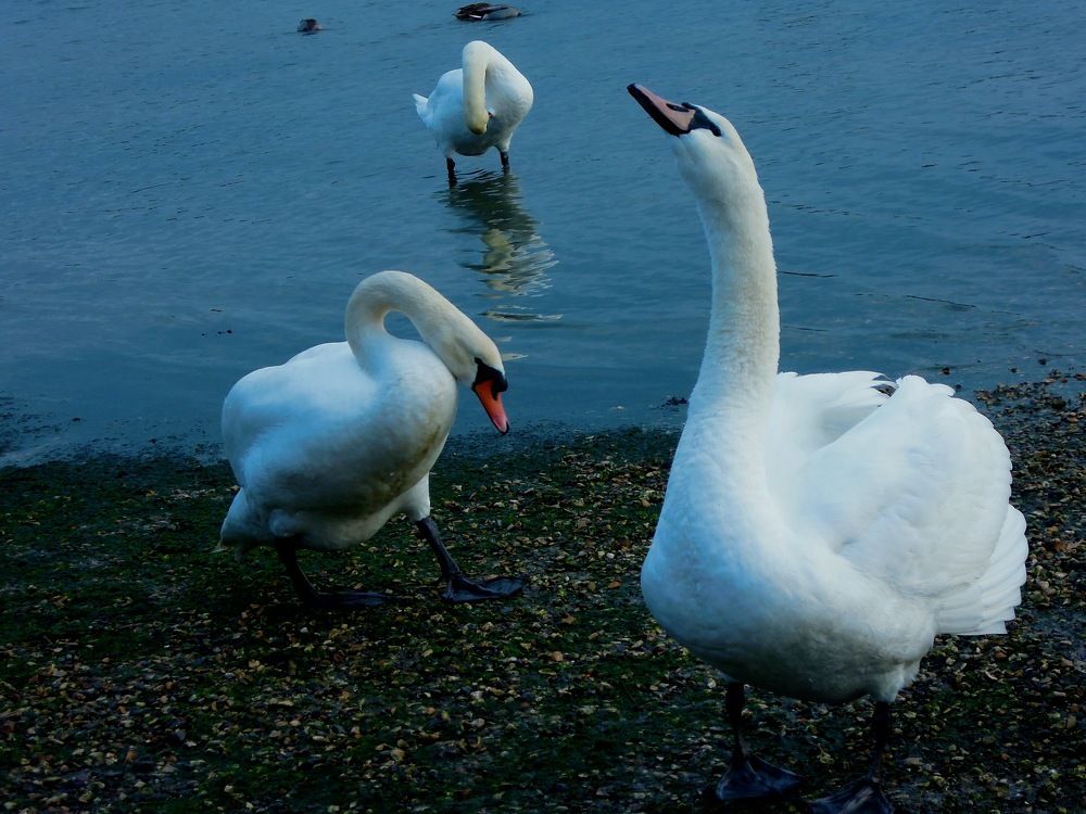 Photograph by Elizabeth Allen