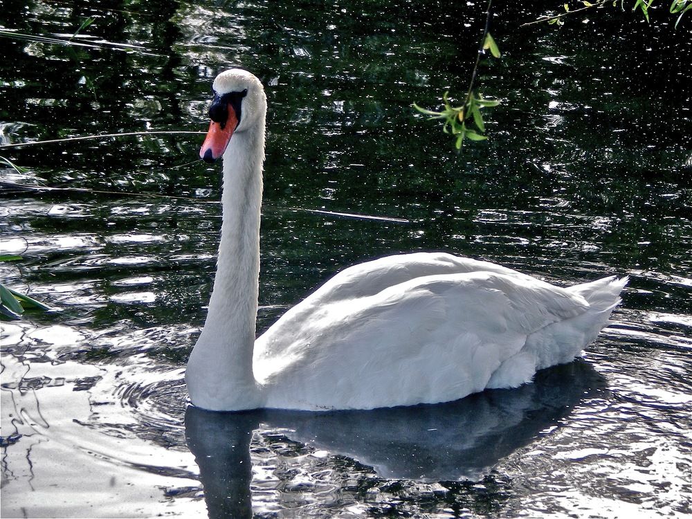 Photograph by Elizabeth Allen