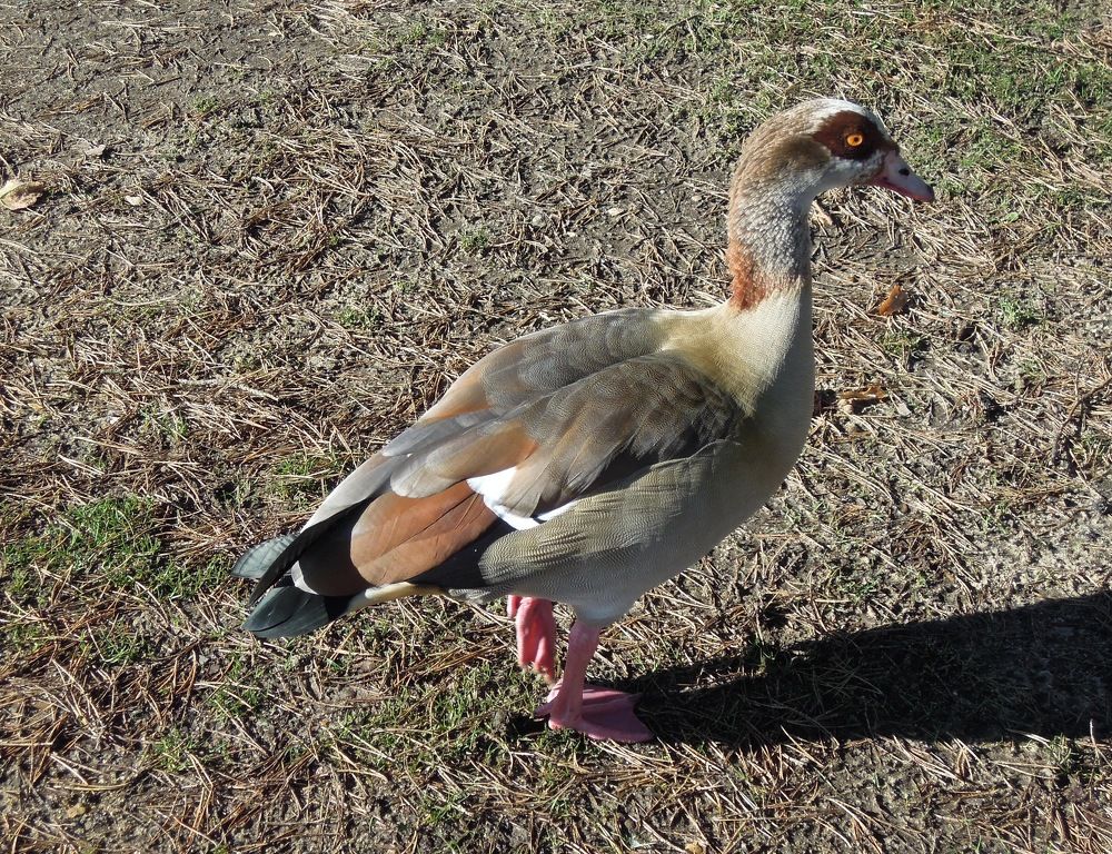 Photograph by Elizabeth Allen