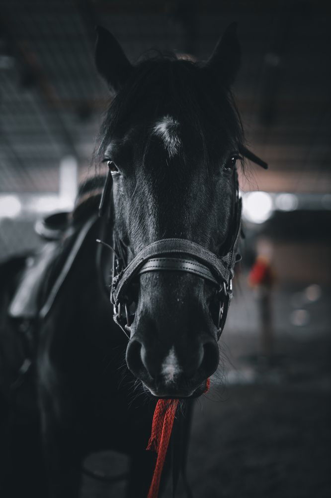 Photograph by Artur Imaev