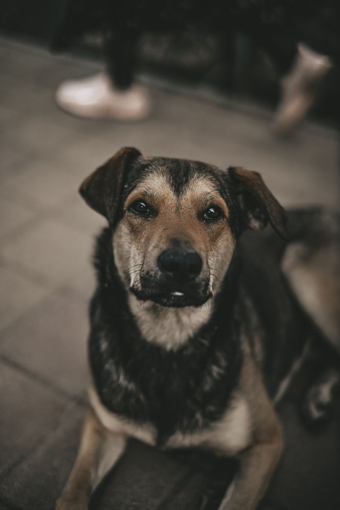 Photograph by Artur Imaev