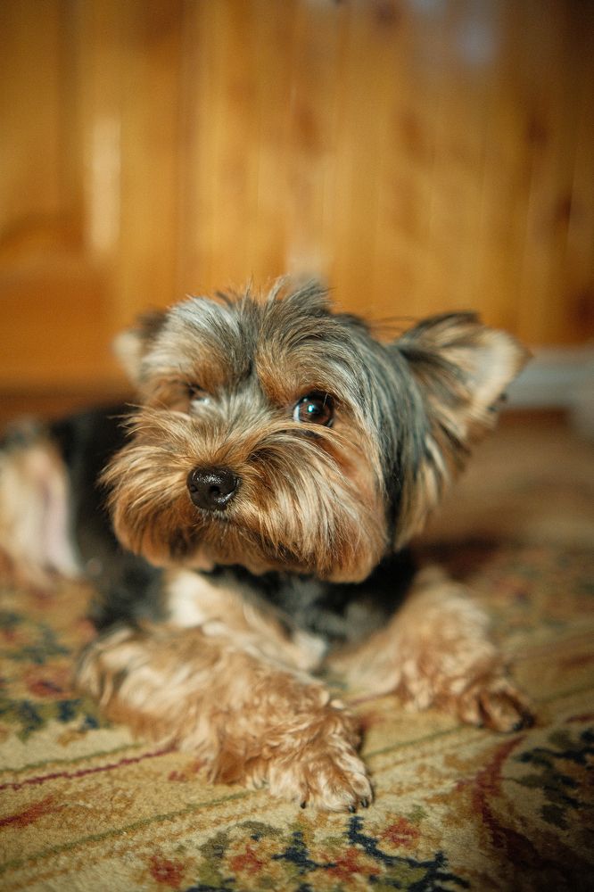 Photograph by Валерий Рожков