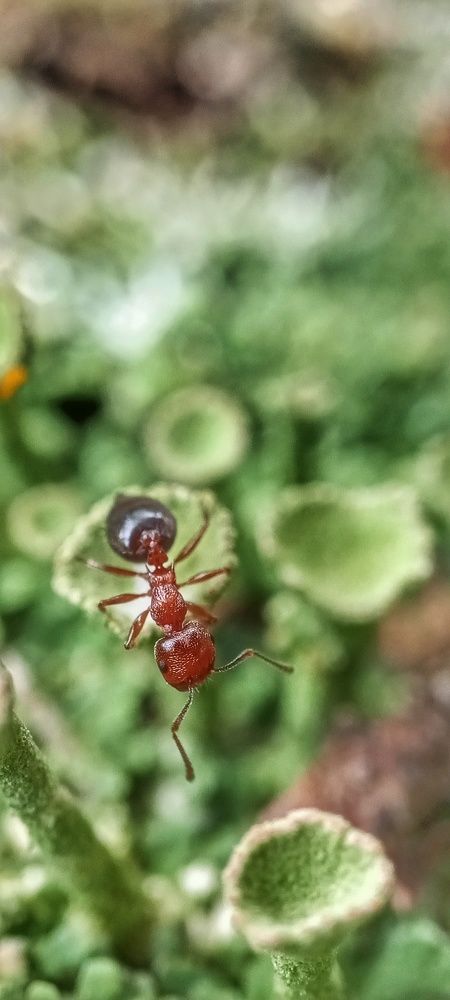 Photograph by Ирина Корх