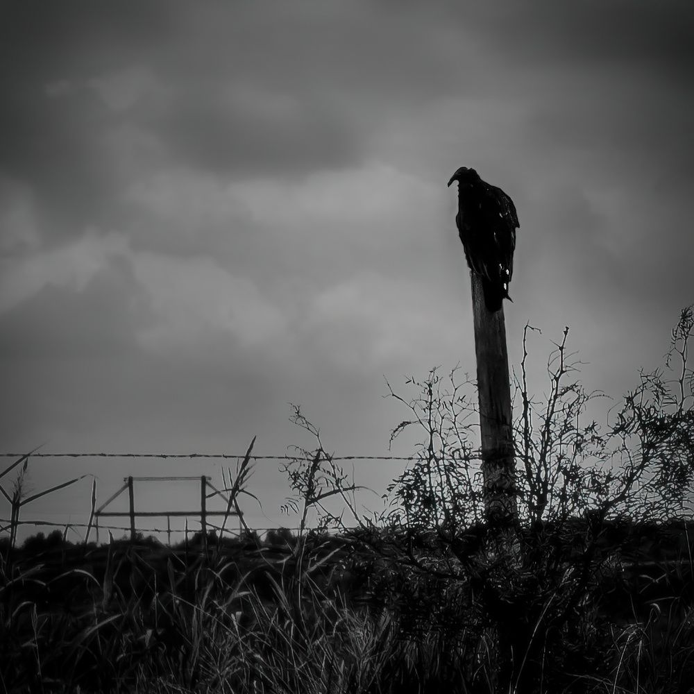 When the Tormentor Comes