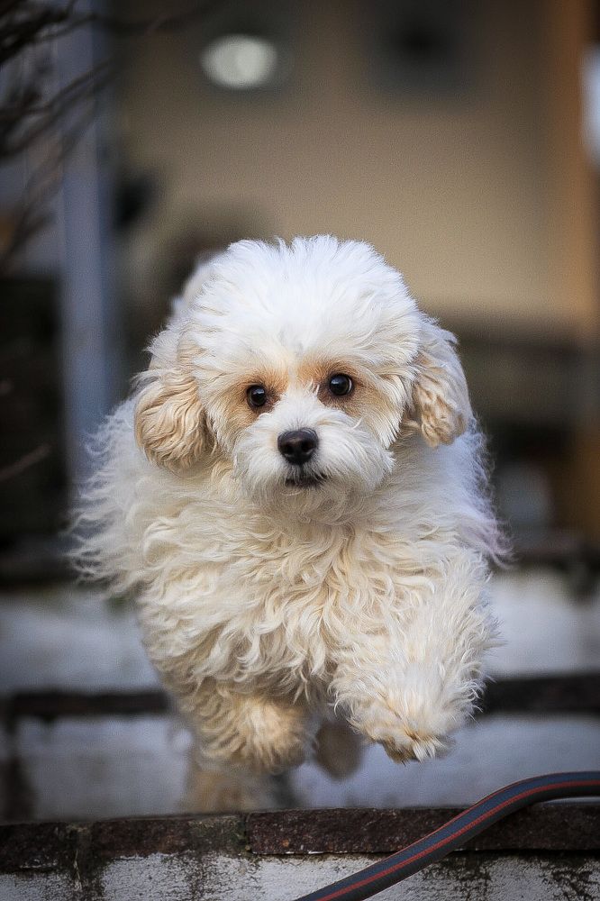 Photograph by Ирина Подгорная