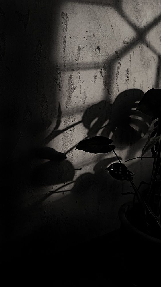 Photograph by Kate Hondochka