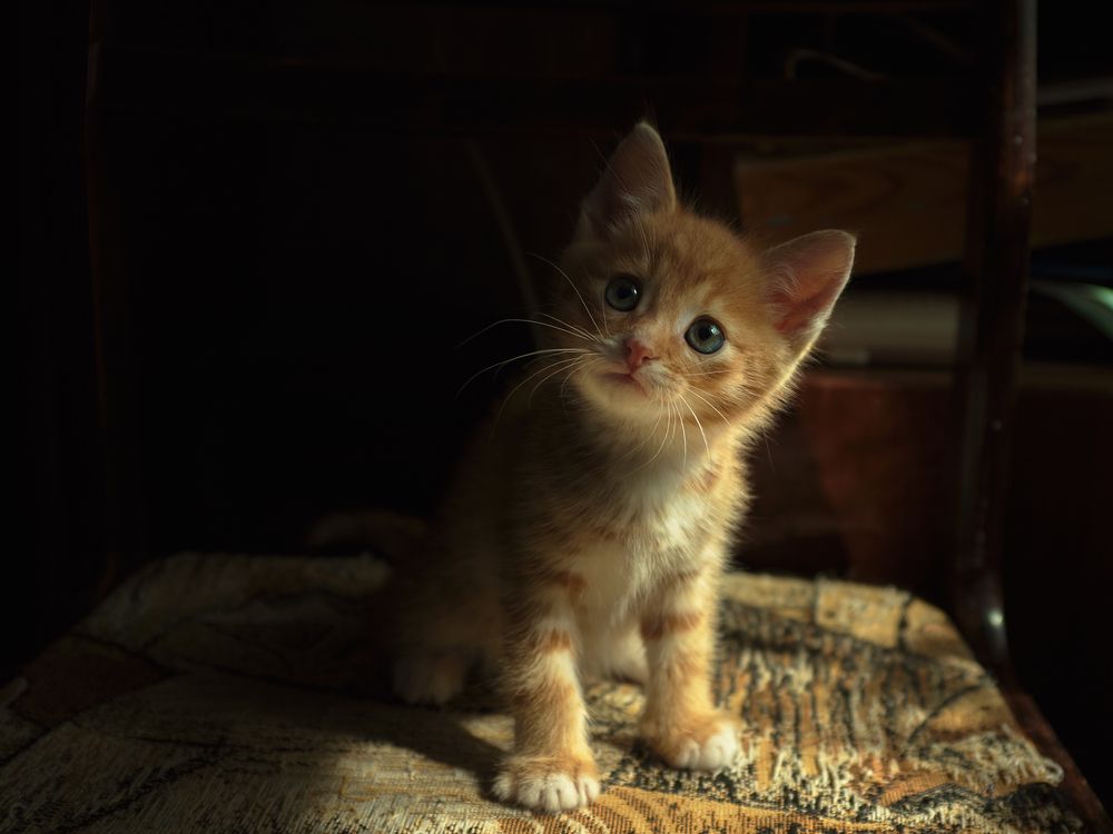 Photograph by Александр Ещенко