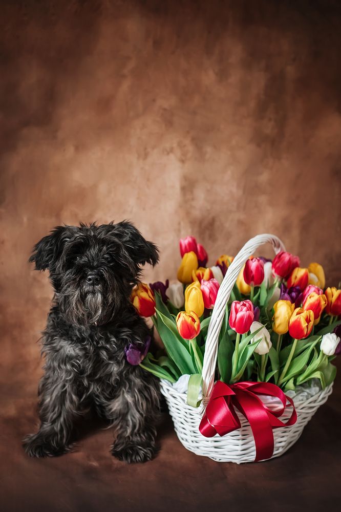 Photograph by Ольга Додонова