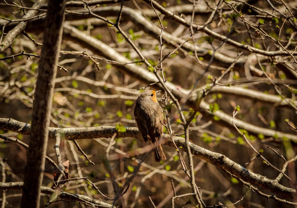 Photograph by Игорь Сидун