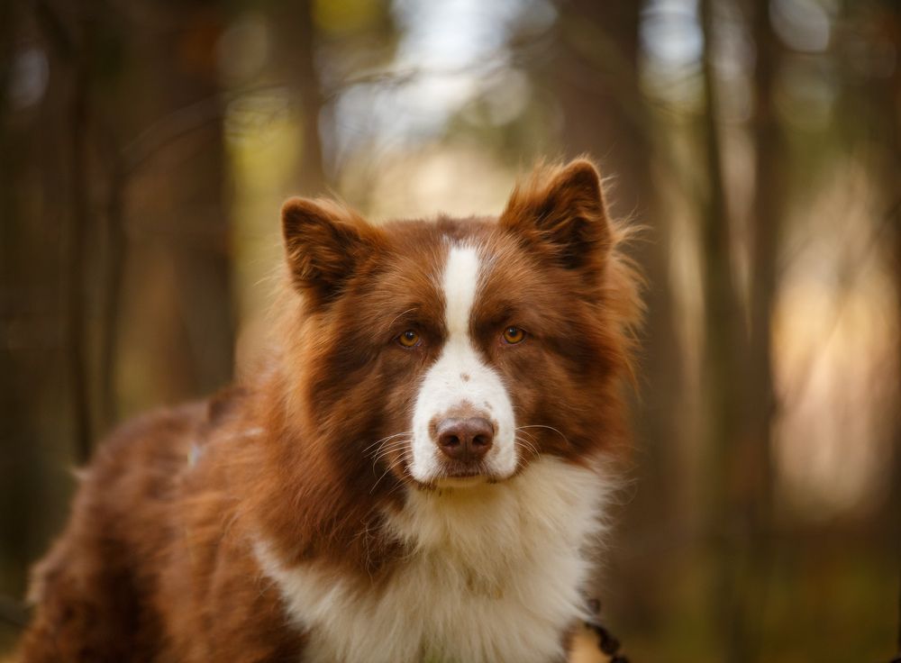 Фотография автора Виталий Зейфер