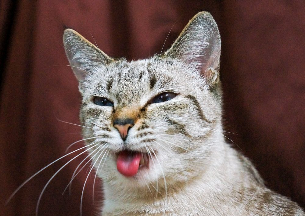 Фотография автора Виталий Зейфер