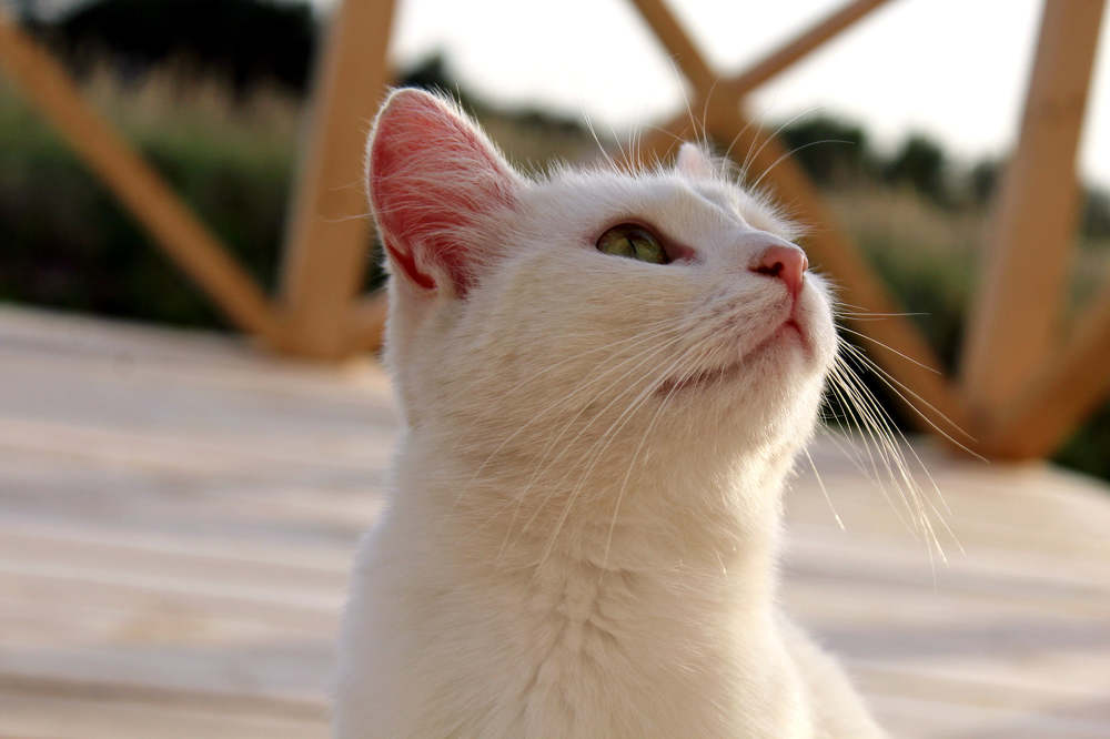 Photograph by Ольга Антанавичене