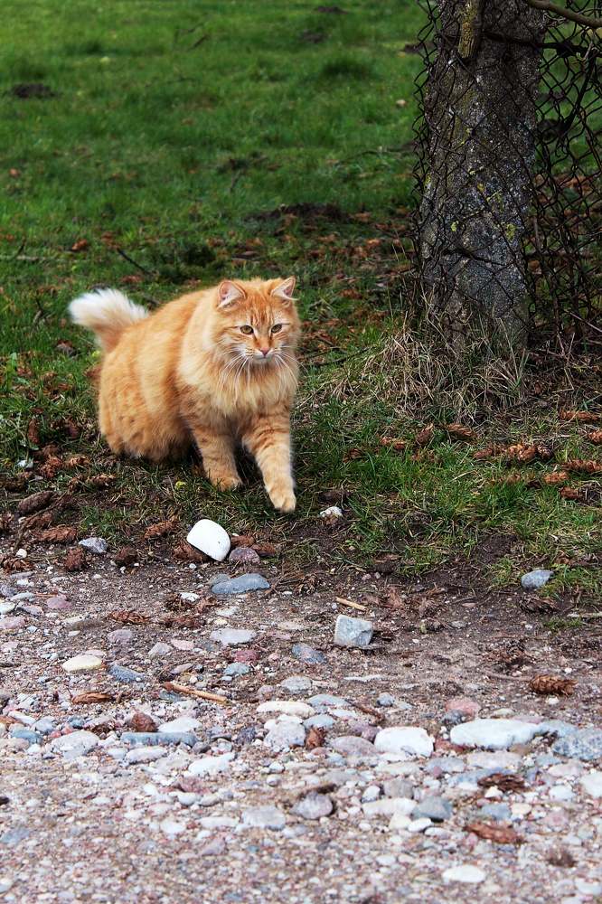 Photograph by Ольга Антанавичене