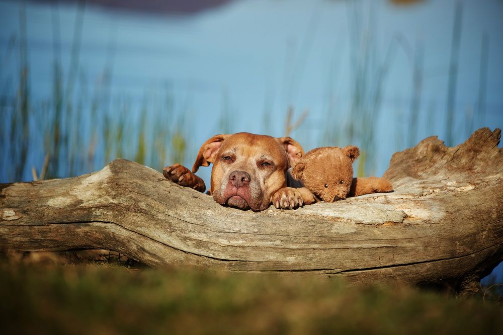 Photograph by Ирина Корх