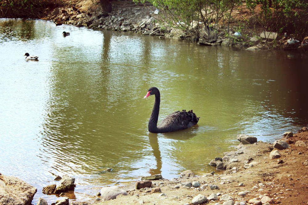 Photograph by Ольга Антанавичене