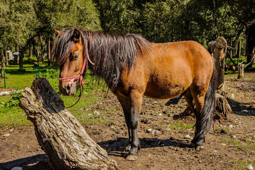 Photograph by Игорь Сидун