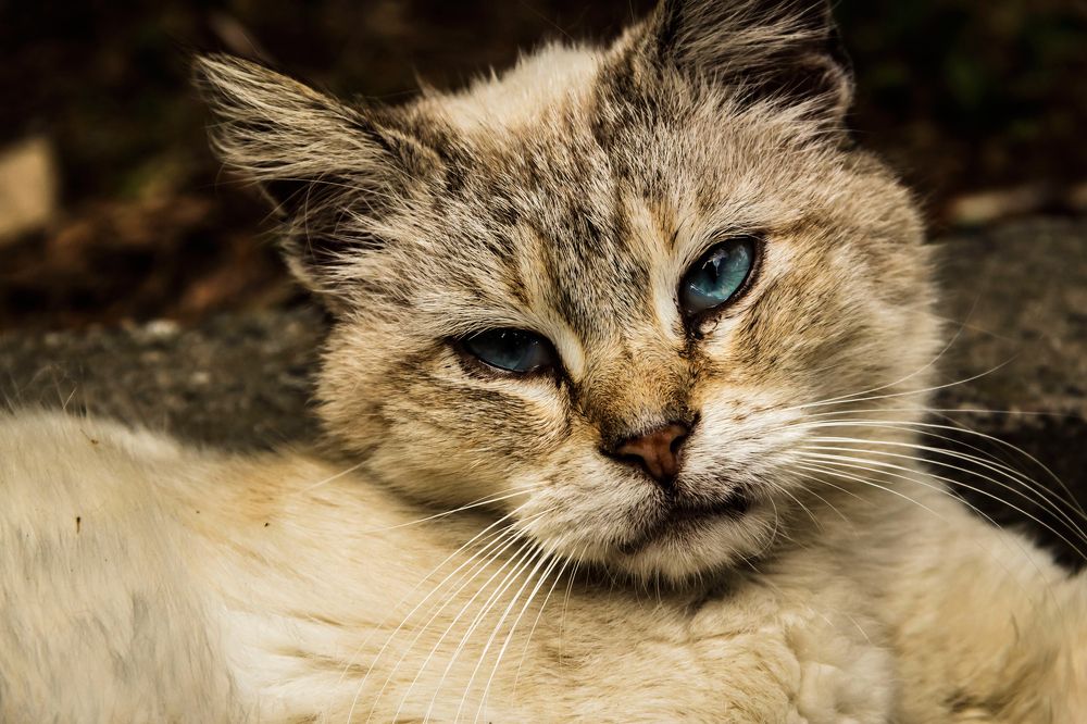 Photograph by Игорь Сидун