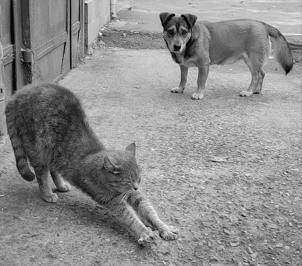 Флирт / Flirting