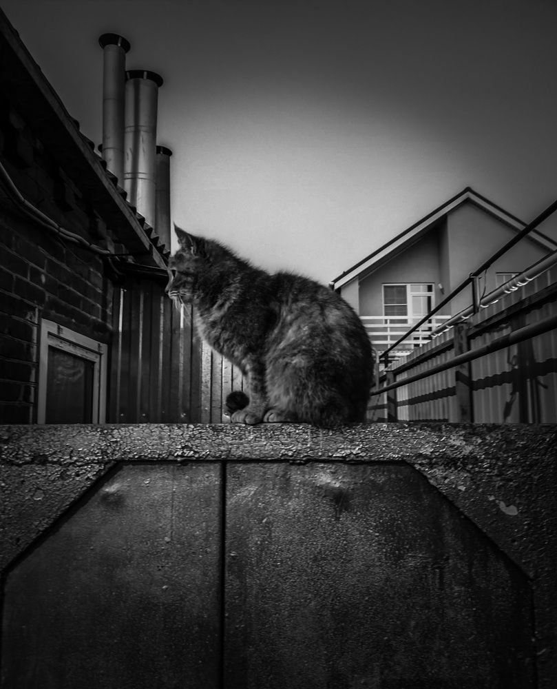 Вечер / Evening