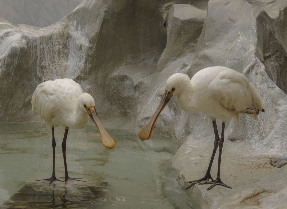 Photograph by Михаил Измайлов